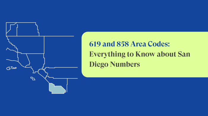 Phone code area numbers california number ca virtual diego san business