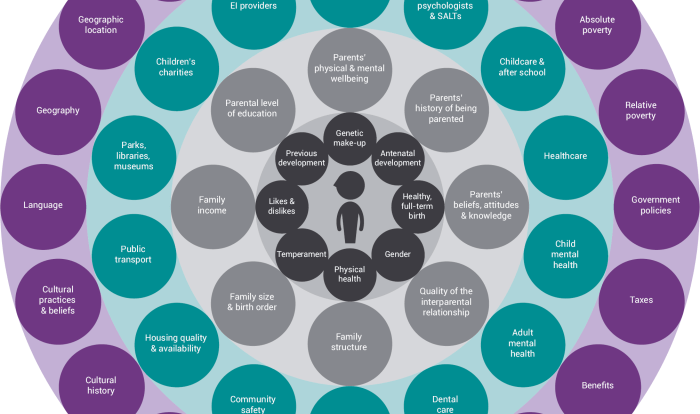 In florida the continuum of prevention and intervention services